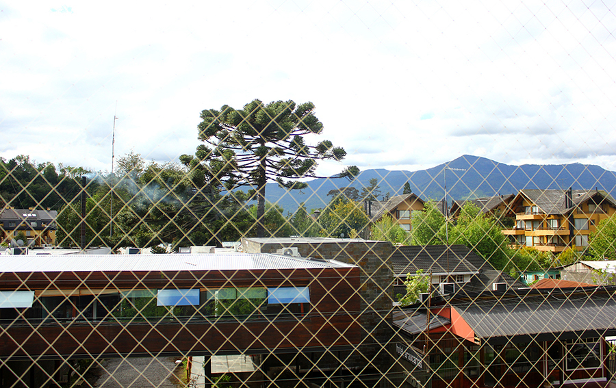 Vista de la terraza